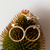 Aros Nina mini - comprar online