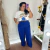 T Shirt Brasileira na internet