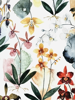 Print Orquidário en internet
