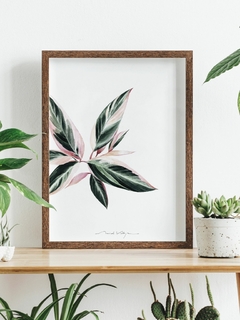 Print Triostar - comprar online