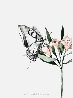 Print Grafito - comprar online
