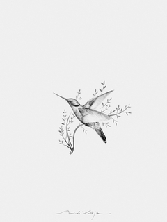 Print Colibrí Grafito B&N - comprar online