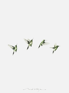 Print Vuelo - tienda online