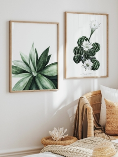 Print Attenuata - comprar online