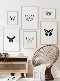 Print Albatros - comprar online