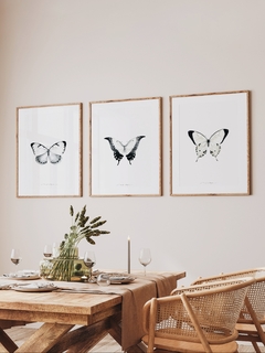 Print Morpho - comprar online