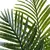 Planta Palmera 110 cm en internet