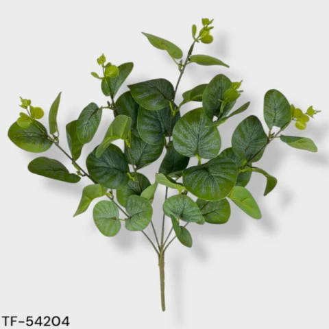 Planta-Mata de eucaliptus 36cm.