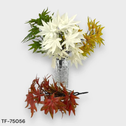 Planta-Mata Hoja Maple 30 cm