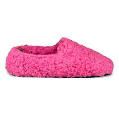 Imagem do Pantoo Teddy Pitaya