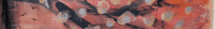 Banner de la categoría VERANO