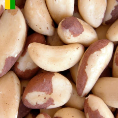 Castanha do Pará natural - comprar online