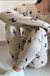 SET PIJAMA LANILLA RAI
