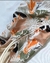 ENTERIZA PAULA TROPICAL - Aquarela Bikinis