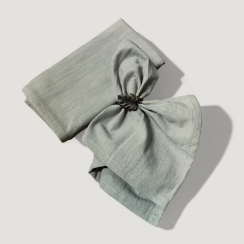 SERVILLETAS TUSSOR MUSGO X4 - 47x47cm