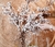 FLOR TUSCANIA 100CM - comprar online