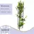 TUTOR PARA PLANTAS XL 105X22CM en internet