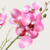 ORQUIDEA EN PIEDRA - comprar online