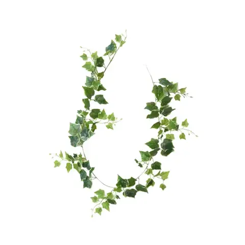 HIEDRA VARIEGADA COLGANTE