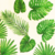 SERVILLETA LEAVES