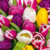 SERVILLETA TULIPS IN COLOUR