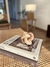 CADENA NUDO - comprar online