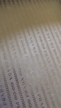 Zapatos Prada de punta fina Sin uso en caja y todos los accesorios - CABU