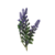 Ramalhete De Lavanda Artificial - Papoula Flor Comércio EIRELI