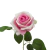 Imagem do Rosa Aveludada Artificial Unitária (P)
