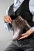 Bota Modare - Art. 7072-109 en internet