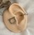 Piercing counch argola prata/dourado - PC95 - loja online
