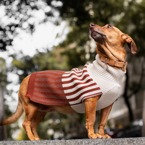 Sweater Agnes Crudo-Lacre-Chocolate