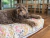 Cama Pollock - comprar online