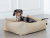 Moisés Chelsea Mocha - Simple Pet