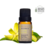 Óleo Essencial Ylang Ylang 10ml - Harmonia