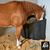 Cocho Grande Triplo para Canto de Baia de Cavalo na internet