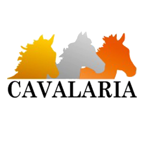 Marca 8 de AM Ferramentas