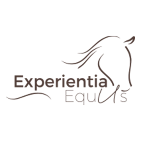 Marca 2 de AM Ferramentas