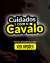 Carrossel 2