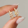 ARGOLLAS CUBIC DANIELA
