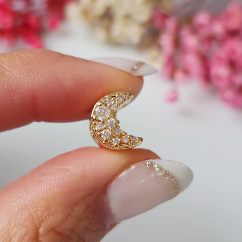 CHARMS LUNA MICROPAVE