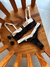SET ABSENTA - comprar online