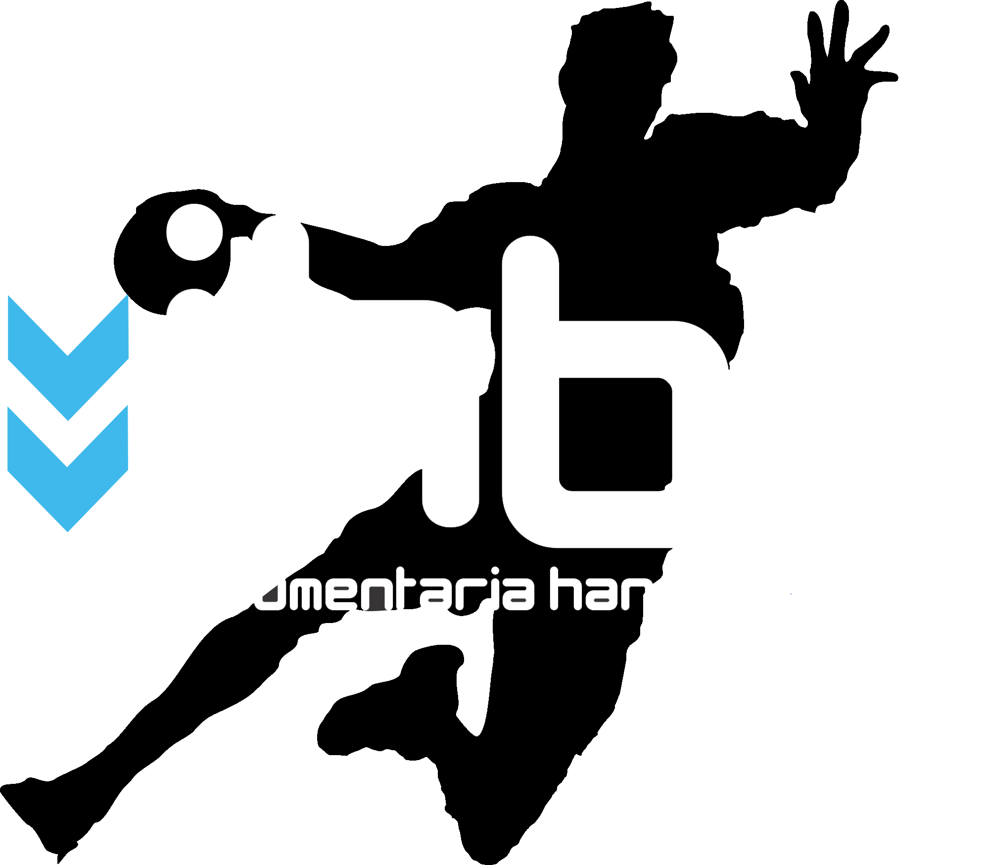 INDUMENTARIA HANDBALL BS AS 