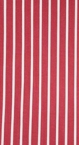 Camisa Emily Stripe