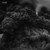 Fyear - S/T