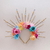 Royals : spring (con luces)