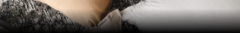 Banner de la categoría Almohadones