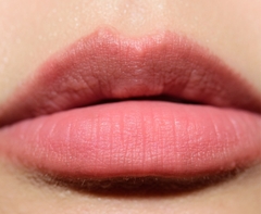 Blotted Lip en barra - comprar online