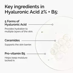 Hyaluronic Acid 2 % y B5 - comprar online