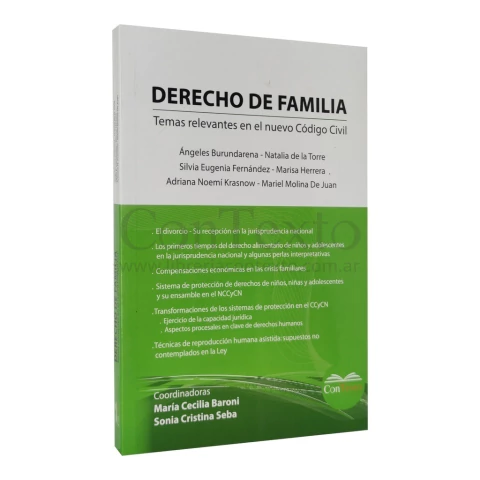 Derecho de familia. Temas relevantes en el nuevo Código Civil